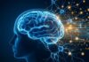 Comment la data et l’intelligence artificielle sont en train de vaincre la maladie d’Alzheimer Alzheimer Santé