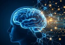 Comment la data et l’intelligence artificielle sont en train de vaincre la maladie d’Alzheimer Alzheimer Santé