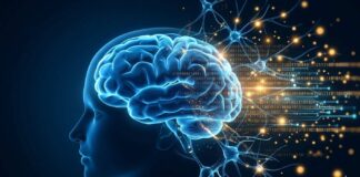 Comment la data et l’intelligence artificielle sont en train de vaincre la maladie d’Alzheimer Alzheimer Santé