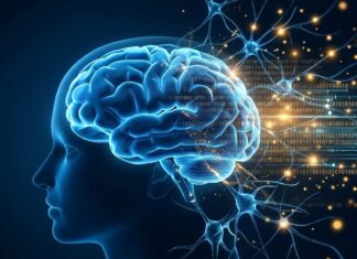 Comment la data et l’intelligence artificielle sont en train de vaincre la maladie d’Alzheimer Alzheimer Santé