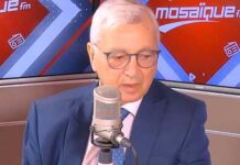 Éolien en Tunisie : 2 GW de nouvelles capacités prévus dès 2026 pour accélérer la transition énergétique