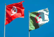 Des chercheurs tunisiens et algériens dévoilent de nouvelles données sur l’histoire géologique de Souk Ahras