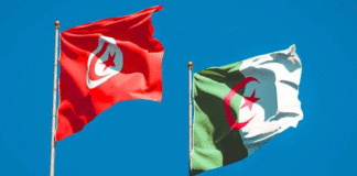Des chercheurs tunisiens et algériens dévoilent de nouvelles données sur l’histoire géologique de Souk Ahras