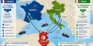 Pourquoi l’Italie investit-elle massivement dans l’énergie en Tunisie ?