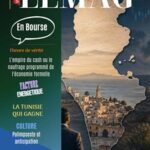WMC LeMag 254 : quand le cash devient un risque systémique pour l’économie formelle WMC LEMAG 254