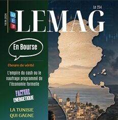 WMC LeMag 254 : quand le cash devient un risque systémique pour l’économie formelle WMC LEMAG 254