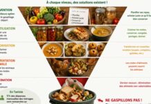 Tunisie : le gaspillage alimentaire coûte 570 millions de dinars par an, selon l’INC