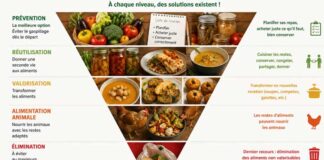 Tunisie : le gaspillage alimentaire coûte 570 millions de dinars par an, selon l’INC
