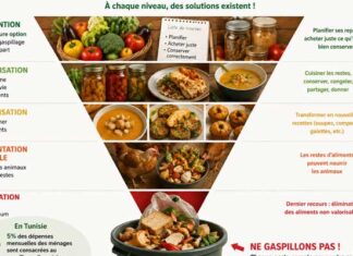 Tunisie : le gaspillage alimentaire coûte 570 millions de dinars par an, selon l’INC