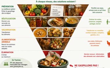 Tunisie : le gaspillage alimentaire coûte 570 millions de dinars par an, selon l’INC