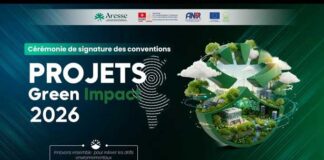 Tunisie : lancement du projet Green4Value pour préserver et exploiter durablement les arboretums
