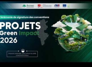 Tunisie : lancement du projet Green4Value pour préserver et exploiter durablement les arboretums