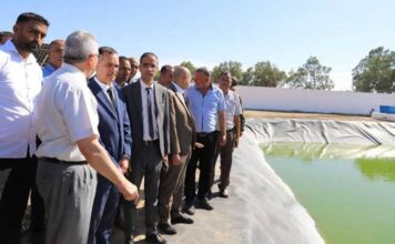 Kairouan : lancement d’un projet d’irrigation agricole avec des eaux usées traitées à Sbeïtla
