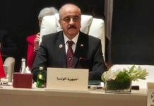 Diplomatie arabe : Mohamed Ali Nafti insiste sur la solution politique et le dialogue