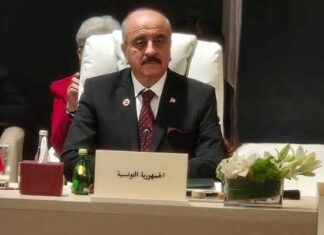 Diplomatie arabe : Mohamed Ali Nafti insiste sur la solution politique et le dialogue