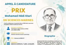 Sciences marines en Tunisie : l’ATSMer lance le Prix Mohamed Hédi Ktari pour les meilleures thèses