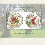 Philatélie : lancement de deux timbres tunisiens consacrés au brachychiton et au callistemon