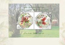 Philatélie : lancement de deux timbres tunisiens consacrés au brachychiton et au callistemon