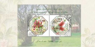 Philatélie : lancement de deux timbres tunisiens consacrés au brachychiton et au callistemon