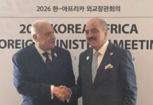 Partenariat Afrique–Corée : la Tunisie plaide pour une coordination africaine renforcée