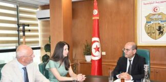 La Tunisie vise un leadership régional dans l’industrie des composants automobiles
