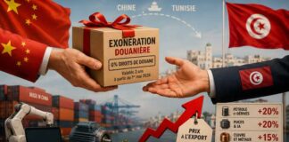 Chine-Tunisie : L’illusion du “Zéro Douane” face au choc des prix