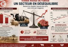 Viande rouge en Tunisie : l’IACE alerte sur le risque d’effondrement de la filière
