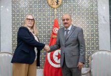 Diplomatie : la Tunisie et la Norvège veulent dynamiser leur partenariat bilatéral