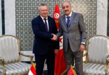 Tunisie-Hongrie : vers un renforcement de la coopération économique et diplomatique