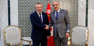 Tunisie-Hongrie : vers un renforcement de la coopération économique et diplomatique