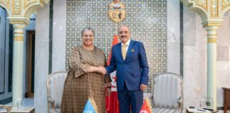 Tunisie–Libye : Mohamed Ali Nafti reçoit Hanna Tetteh pour évoquer l’avenir du processus politique libyen