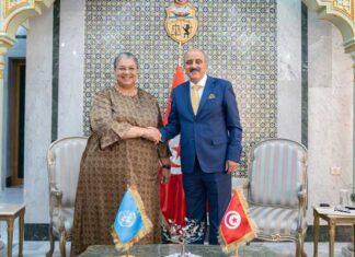 Tunisie–Libye : Mohamed Ali Nafti reçoit Hanna Tetteh pour évoquer l’avenir du processus politique libyen