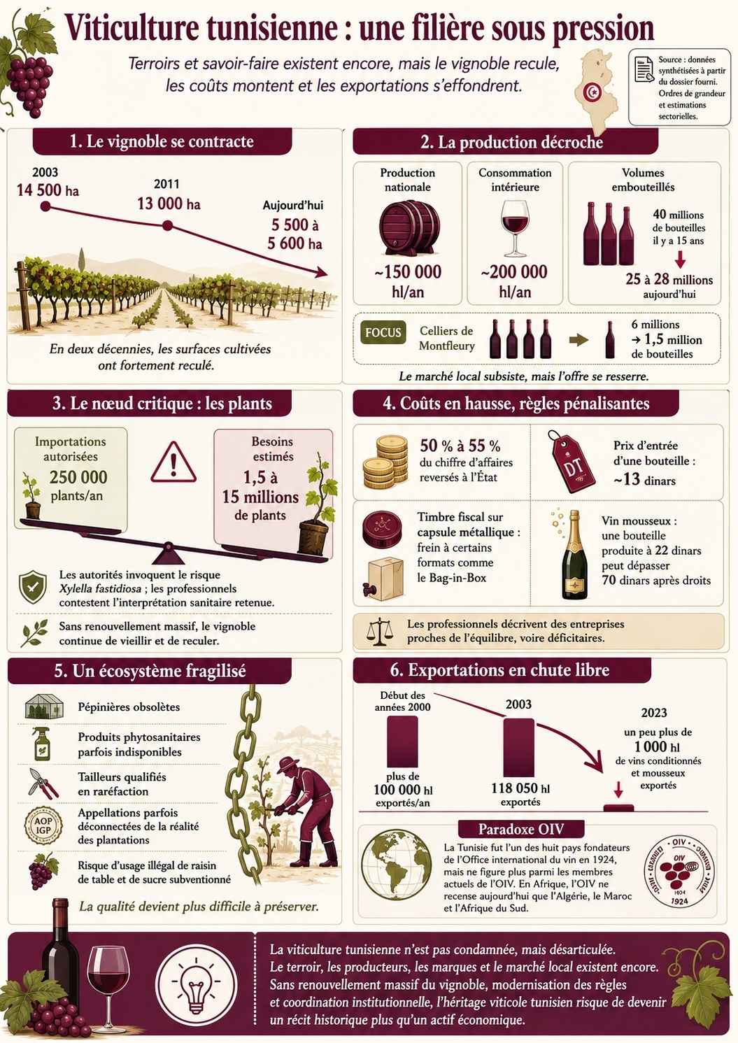 Infographie Viticulture Vinicole