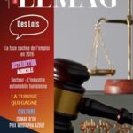 WMC LeMag 255 : des lois votées mais toujours inapplicables WMC LEMAG 255