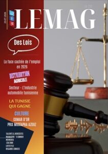 WMC LEMAG 255