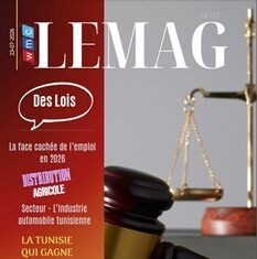 WMC LeMag 255 : des lois votées mais toujours inapplicables WMC LEMAG 255
