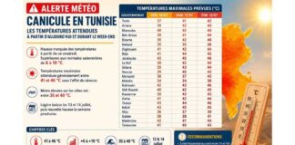 Canicule en Tunisie : jusqu’à 46 °C attendus ce week-end Météo