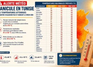 Canicule en Tunisie : jusqu’à 46 °C attendus ce week-end Météo