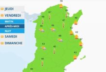Alerte Météo Tunisie : jusqu’à 48°C attendus vendredi 17 juillet 2026 Météo Tunisie
