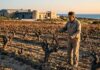 Déclin du vignoble tunisien : anatomie d’un effondrement agricole et industriel annoncé Vignoble Tunisien Crise