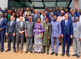 Lancement du Réseau des instituts diplomatiques africains avec la participation de la Tunisie