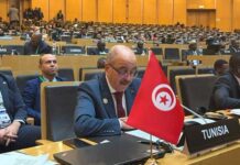 Union africaine : Mohamed Ali Nafti plaide pour une réforme fondée sur la transparence et le mérite