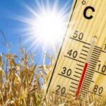 Mercure en hausse : Des maximales atteignant 48°C et du sirocco au programme