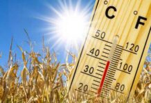 Mercure en hausse : Des maximales atteignant 48°C et du sirocco au programme