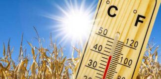 Mercure en hausse : Des maximales atteignant 48°C et du sirocco au programme