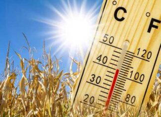 Mercure en hausse : Des maximales atteignant 48°C et du sirocco au programme
