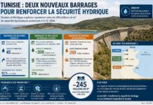 245 millions de m³ d’eau en plus ? Pourquoi la construction de nouveaux barrages ne suffira pas Barrages Tunisie 2026