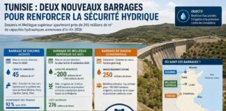 245 millions de m³ d’eau en plus ? Pourquoi la construction de nouveaux barrages ne suffira pas Barrages Tunisie 2026