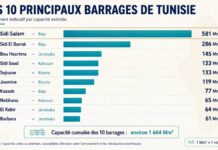 Barrages tunisiens : l’embellie de 2026 ne referme pas la crise de l’eau Principaux Barrages Tunisie