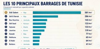 Barrages tunisiens : l’embellie de 2026 ne referme pas la crise de l’eau Principaux Barrages Tunisie